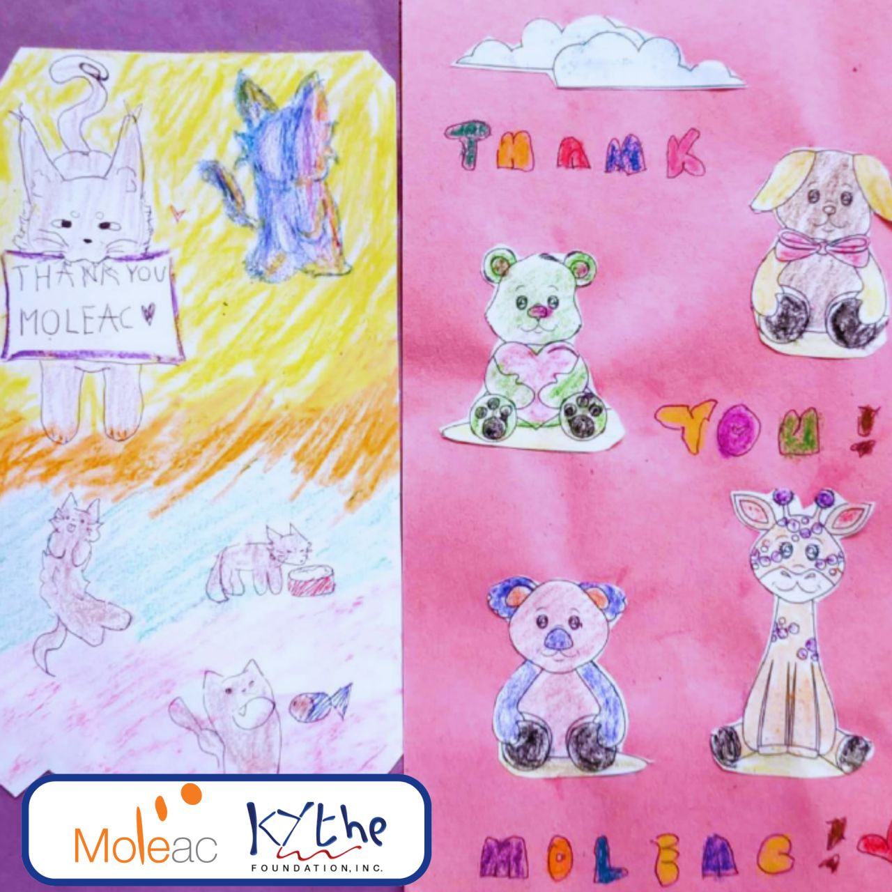 Moleac’s Partnership with Kythe Foundation: Supporting Children with Cancer and Chronic Illnesses
