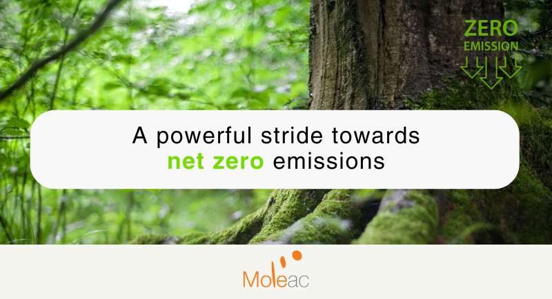Championing Sustainability: Moleac’s Commitment to Habitat Preservation and Reforestation for a Greener Tomorrow