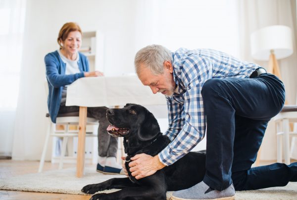 a happy senior couple indoors with a pet dog at ho LKFNYAR min
