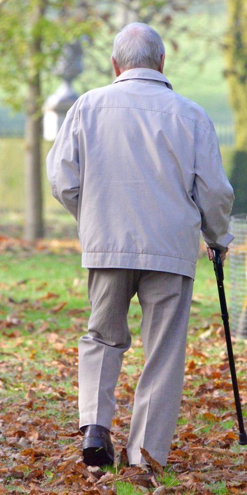 an elderly man with a walking stick strolling in t 2022 10 31 08 00 58 utc 1