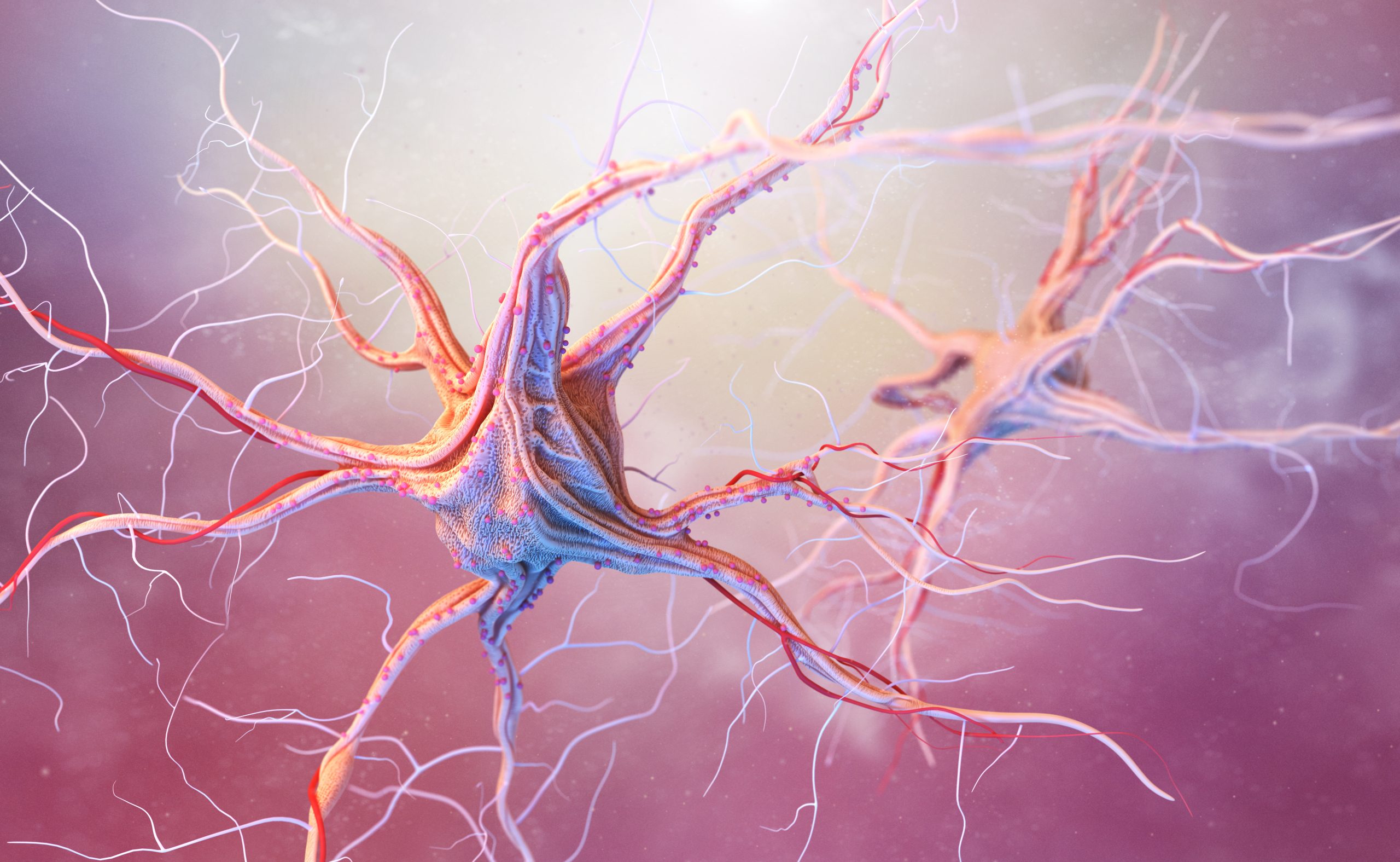 Descubriendo el poder de la mielina en el Sistema Nervioso