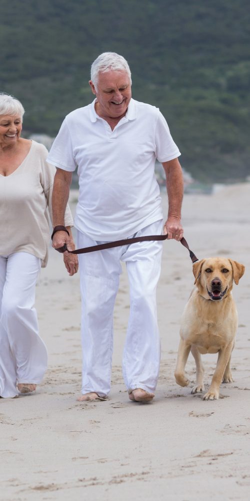 senior couple walking on the beach with dog 2021 08 28 17 21 42 utc min