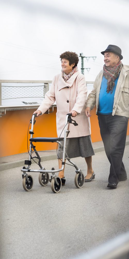 senior couple walking with walking stick and wheel 2022 03 08 01 34 05 utc min