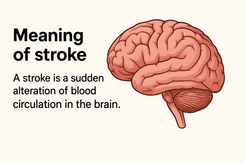 meaning of stroke
