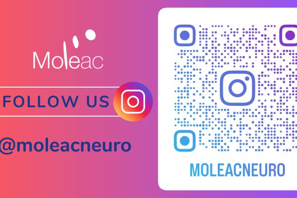 1737977895693 Page 2 scaled