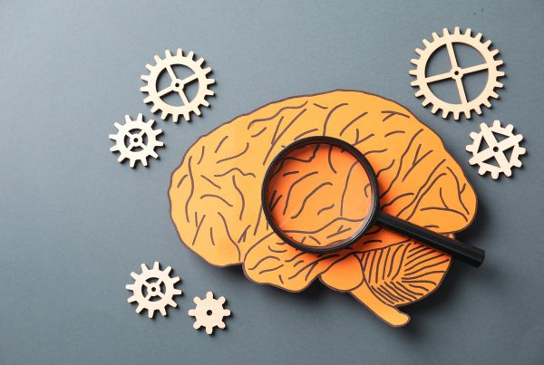 Arteria comunicante anterior: anatomía, función e importancia en la circulación cerebral 5 Arteria comunicante anterior