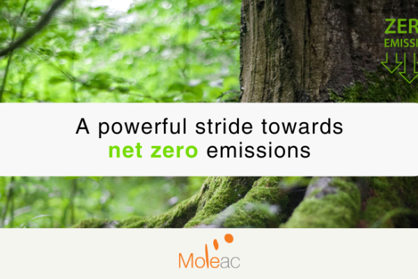 Moleac Website News Thumbnail