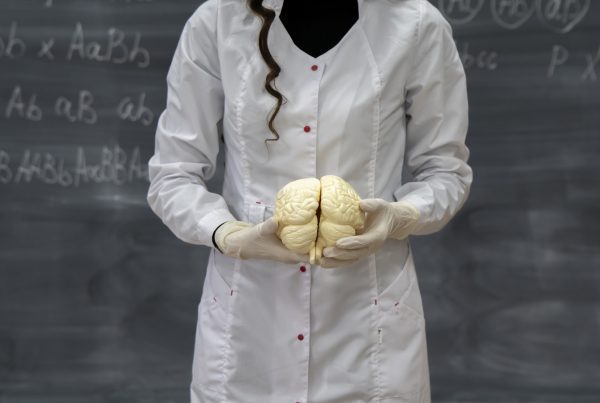 a biology class teacher s hands hold human brains 2024 08 23 15 43 35 utc