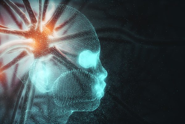 ¿Qué es la corona radiata y cuál es su función? 8 corona radiata