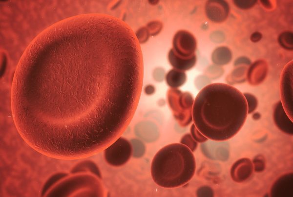 its all in the blood microscopic view of red bloo 2023 11 27 05 04 48 utc