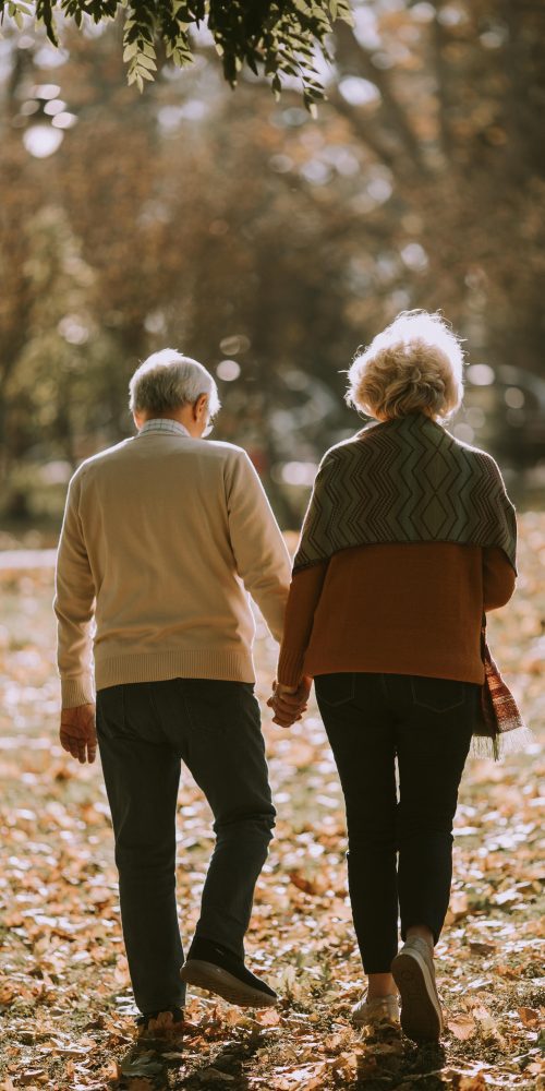 senior couple walking in autumn park 2022 04 19 01 45 45 utc min