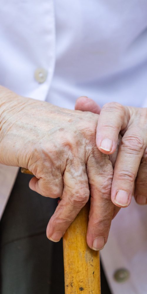 senior woman s hands holding walking stick 2021 08 26 22 40 14 utc min