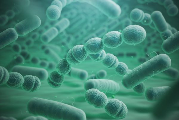 Bacterial Meningitis